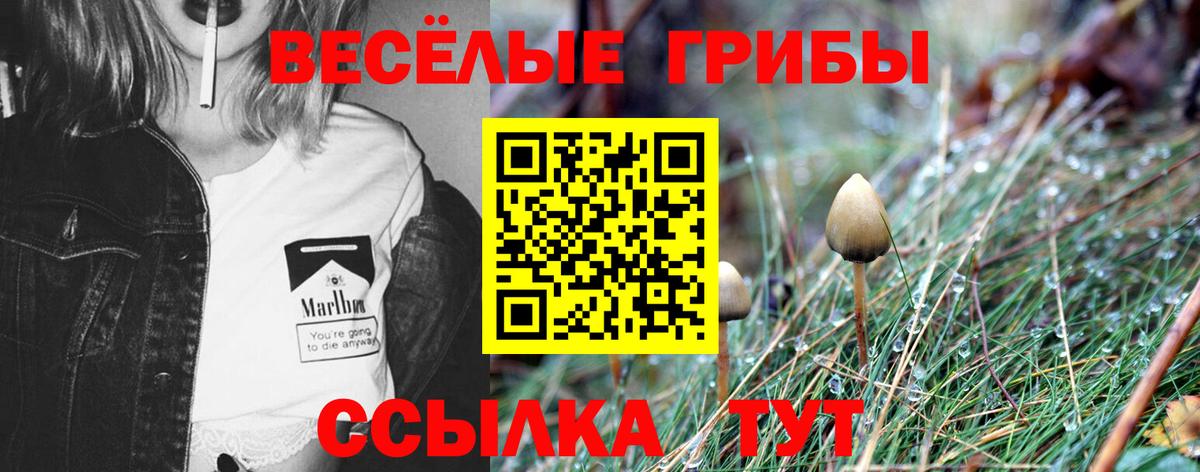 Галлюциногенные грибы MAGIC MUSHROOMS  Вход с VPN  Жуковский 