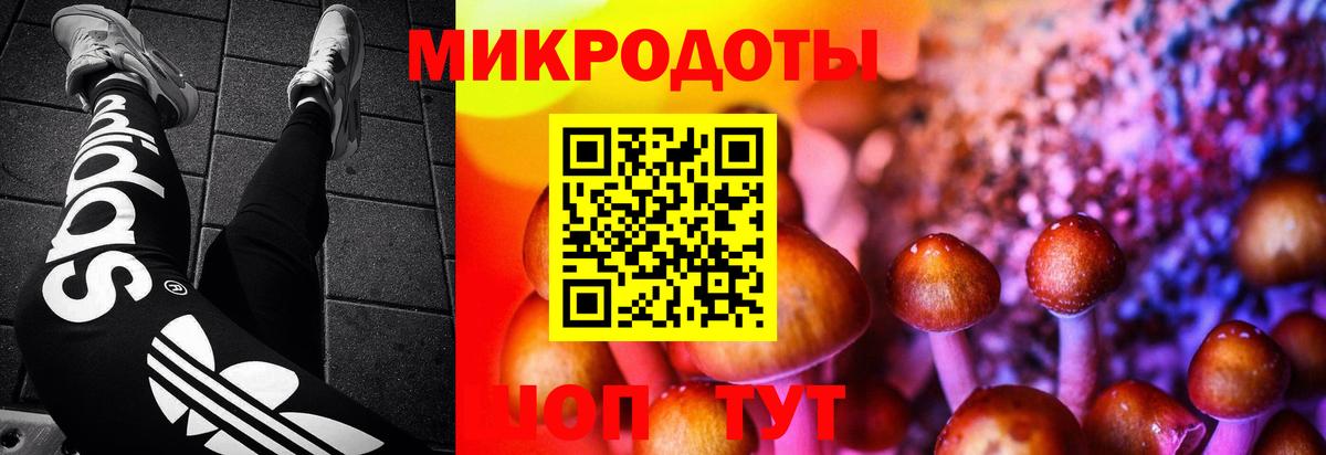 Галлюциногенные грибы мицелий Жуковский